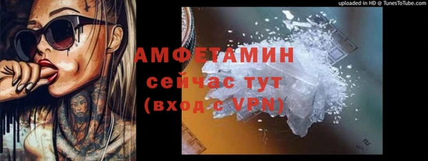 шишки Арсеньев
