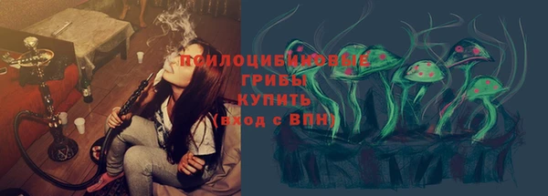 шишки Арсеньев