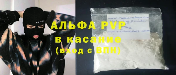 шишки Арсеньев