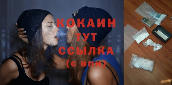 шишки Арсеньев
