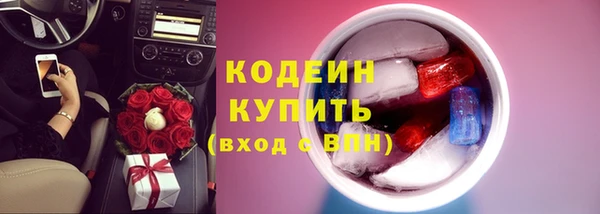 шишки Арсеньев