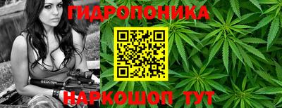 прущий лед Пугачёв