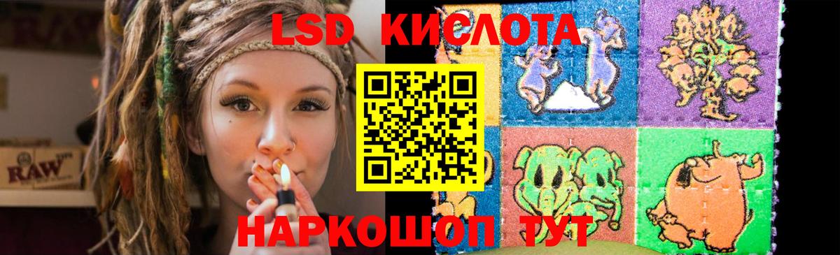 Серов  MEGA маркетплейс  LSD-25 экстази кислота  Вход с VPN  ЛСД экстази кислота  ЛСД экстази 