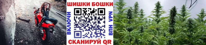 Шишки марихуана White Widow  Серов 